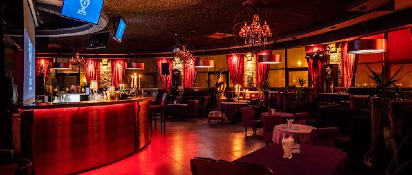 Jungle Lounge Cafe